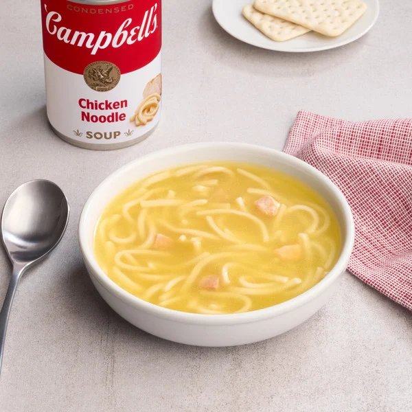 Chicken Noodle Soup