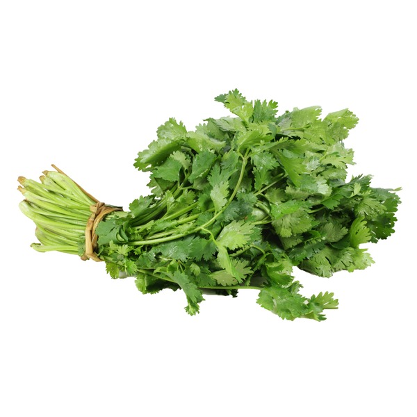 Chopped Fresh Cilantro One Bunch Chopped Fresh Cilantro One Bunch