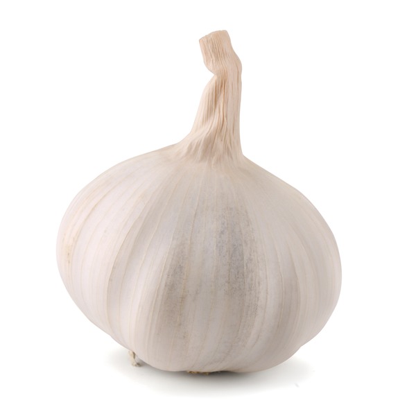 Fresh Garlic Bulb